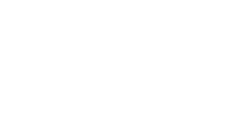 Coding Culture